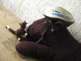 20130617_Speele_012